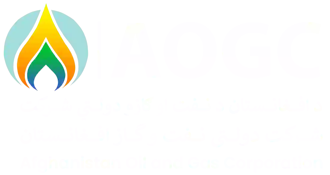 Logo Footer
